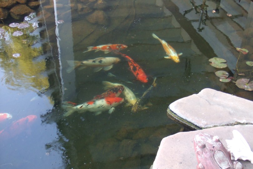 Meine anderen Nachbarn haben sich nicht vorgestellt