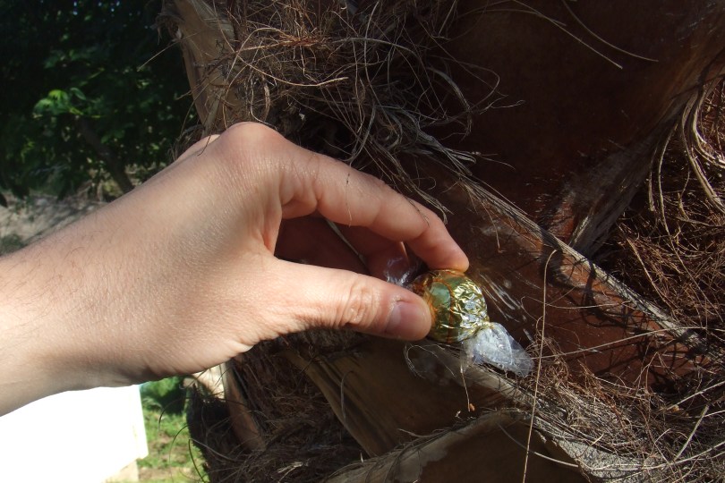 Und noch eins in die Palme: Das finde ich nie!