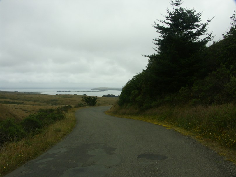 Bay Hill Road - hier fuhr Tippi nach Bodega Bay
