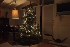 Advent, Advent, 200 Lichtlein brennen