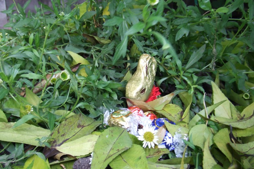 Osterhäschen in der Grube