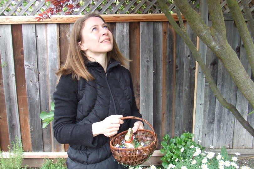 Seit wann können Osterhasen fliegen?