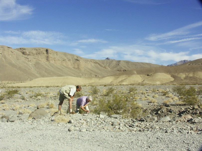 Hobbygeologen bei der Arbeit