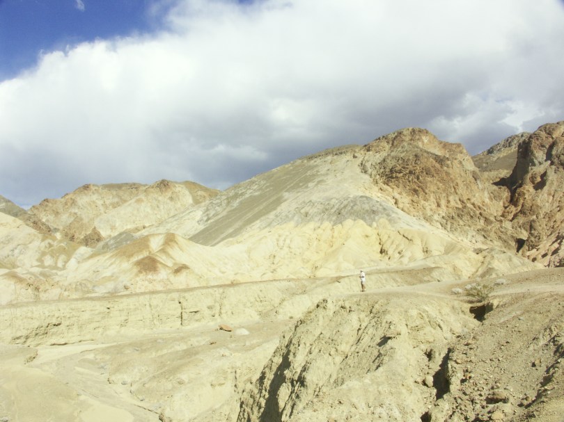 Suchbild: Wo ist Harry?