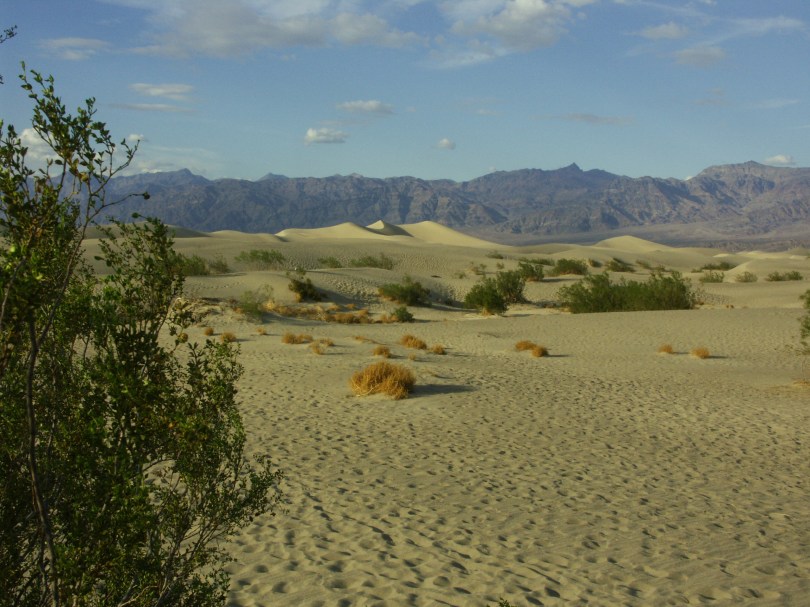 Mesquite Sand Dunes