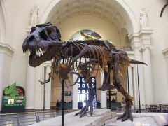 A boy named Sue? Geschlecht unbekannt