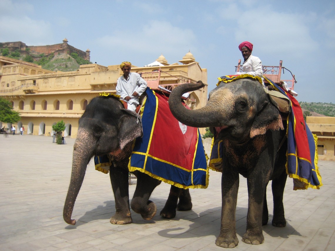Elefanten im Amber Fort: Rajasthan ist für Touristen wahrscheinlich der indischte aller Bundesstaaten