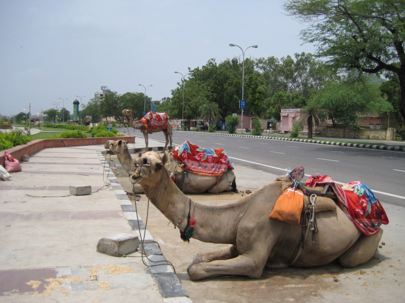 Einfach mal locker abhängen