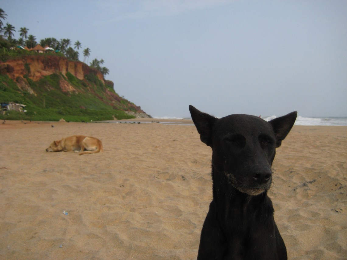 Versuch's mal mit Gemütlichkeit: Der Strand von Varkala lädt dazu ein, einfach nur abzuhängen