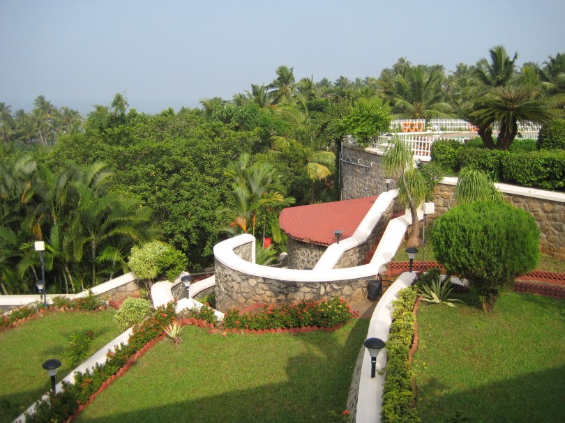 Sattes Grün der Palmwälder