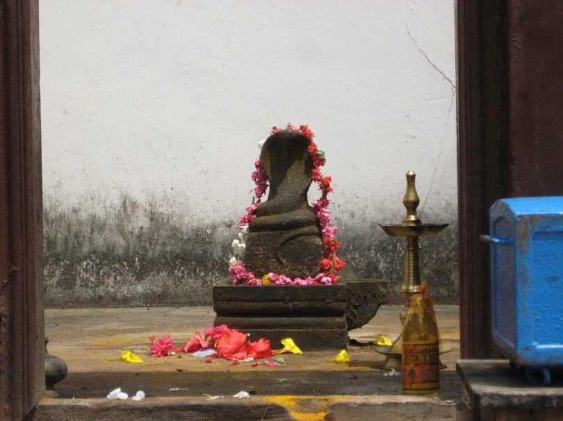 Naga im Janardana-Swami-Tempel