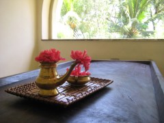 Ayurveda-Anwendung: nicht jedermanns Sache