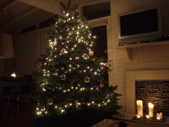 Fait accompli: Der Baum steht, Weihnachten kann kommen