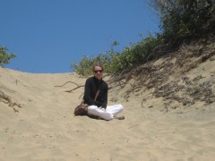 Meditierender Seeelefant in Año Nuevo