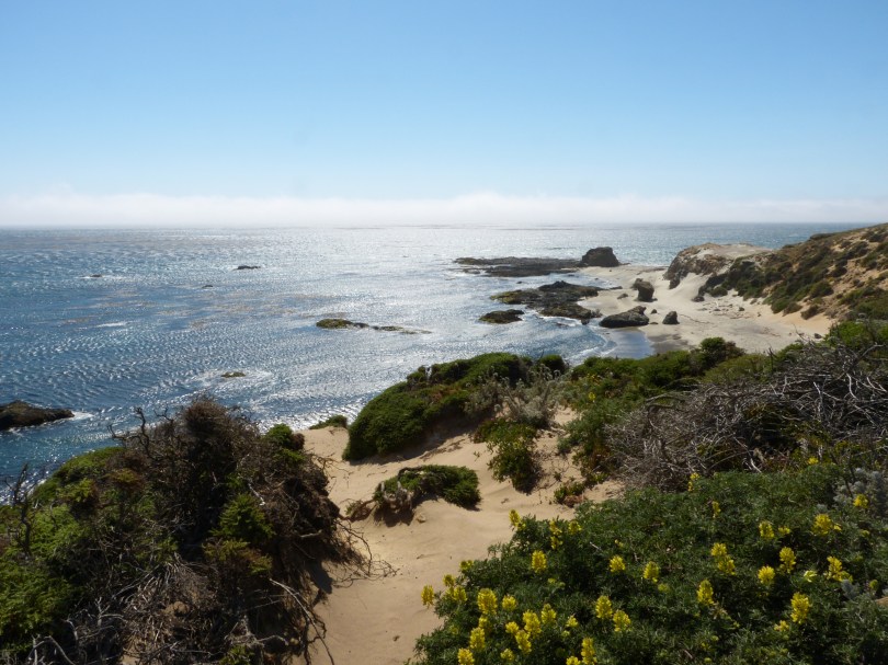 Big Sur: Der "große Süden" lädt ein zum Entspannen und Durchatmen