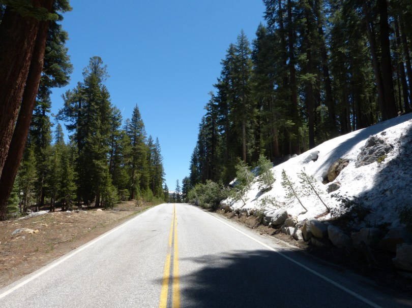 On the road: Die Straße über den Tioga-Pass geht bis auf 3000 Meter Höhe