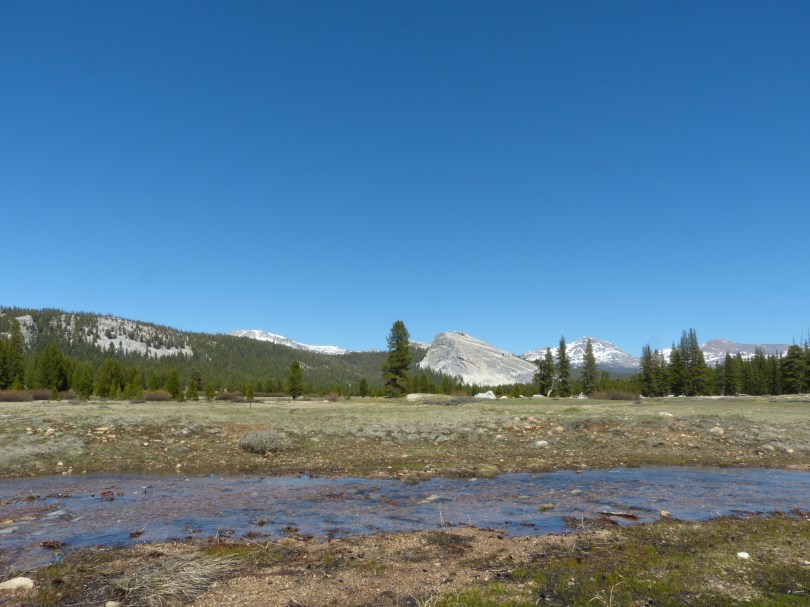 Tuolumne Meadows: Wiesen und Gebirgsbäche auf 2600 Metern Höhe