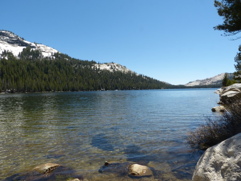 Tenaya Lake (2500 Meter): eiskalter Gebirgssee vor malerischer Kulisse