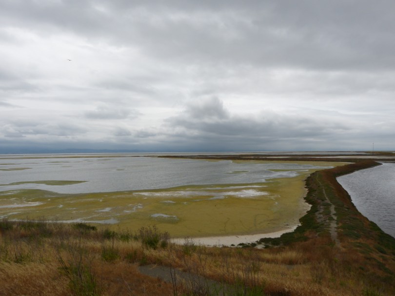 Salzablagerungen in der East Bay