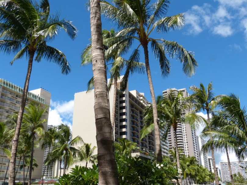 Bettenburgen in Waikiki