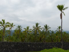 Puʻuhonua o Hōnaunau: Die Zufluchtsstätte wird von einer massiven Steinmauer aus dem 16. Jhd. umschlossen