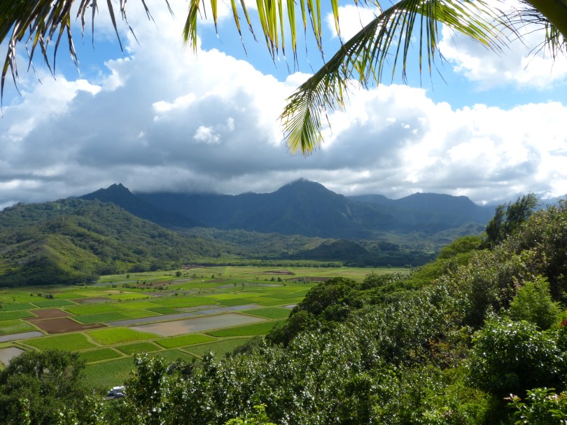 Postkartenansicht: Blick auf das Hanalei-Tal im Norden Kauais
