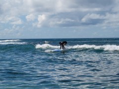 Erste Erfolge: Nach nur kurzer Zeit klappt das Aufstehen schon ganz gut