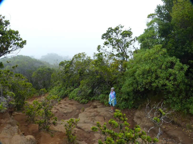 Ein Männlein steht im Walde: Chris mit Handtuch-Poncho im nassen Waimea Canyon