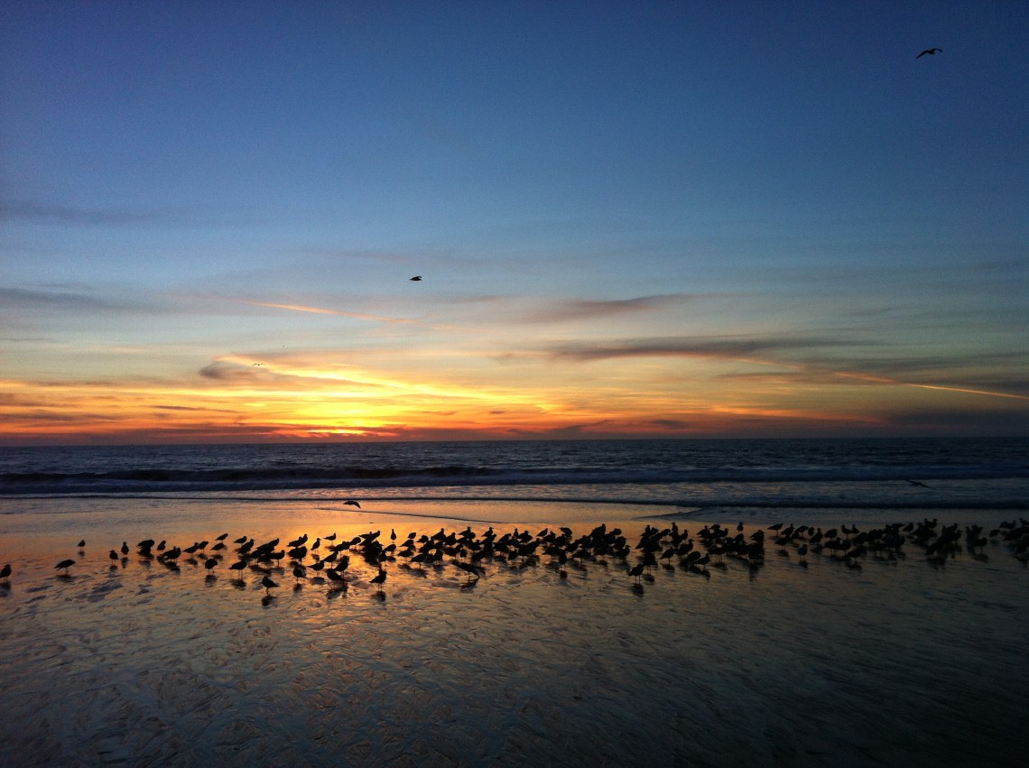 1.1.2014: Spaziergang am Strand von Half Moon Bay. Danach ging's bergab