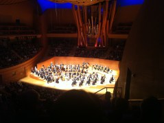 Konzertsaal der Walt Disney Concert Hall (auch die Orgel wurde von Gehry entworfen) 