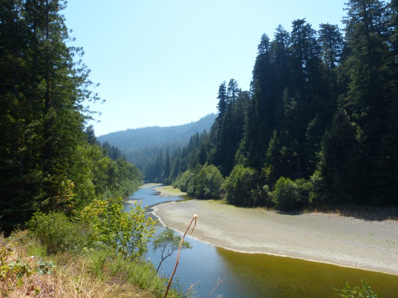 Eel River und Mammutbäume