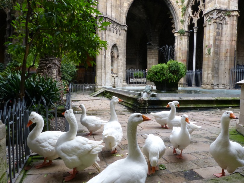 13 Kloster-Gänse gemahnen an das Martyrium der heiligen 13-jährigen Eulàlia