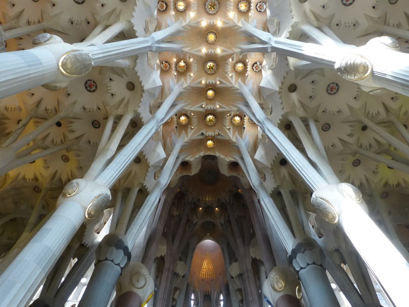 Ein Gewölbe wie ein Säulenwald