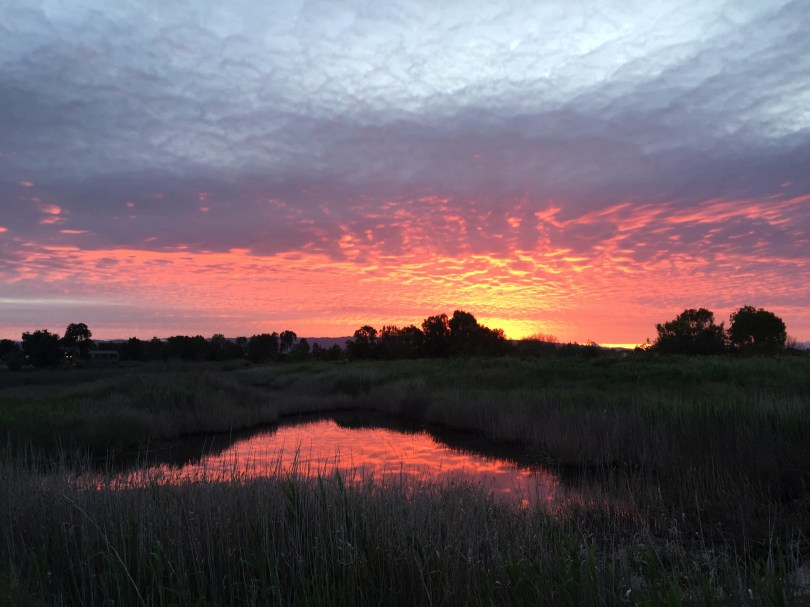 Sonnenuntergang an den Shorelines: Peace out!