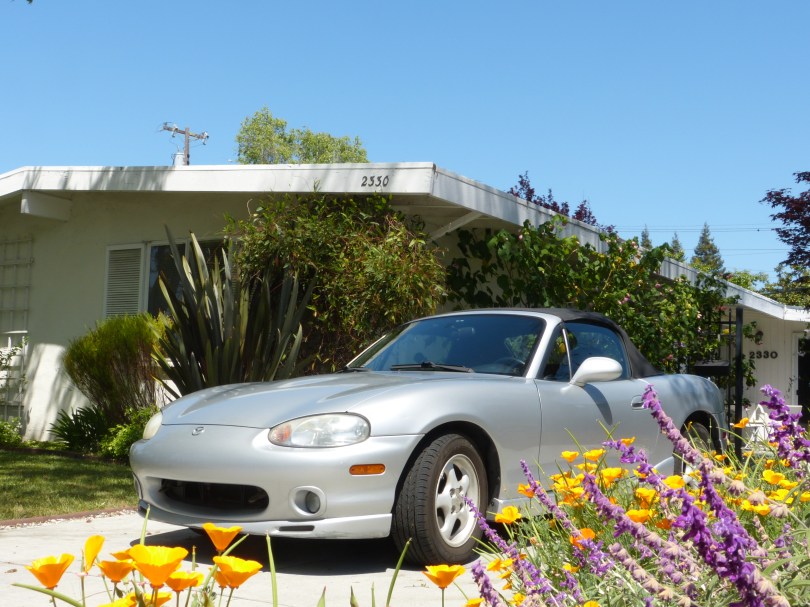 Rest in peace: ein letztes Foto