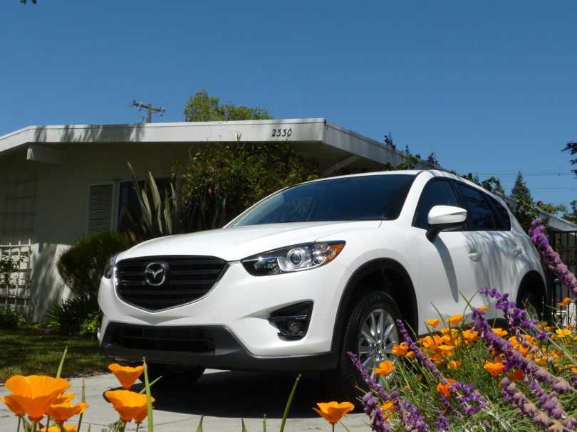 Welcome to the family: der Neue