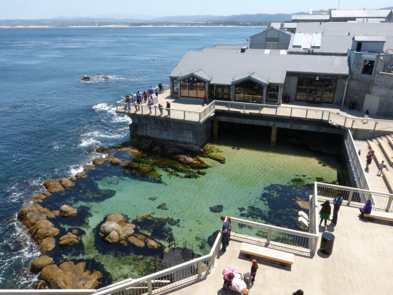 Monterey Bay Aquarium: eines der schönsten Aquarien der Welt