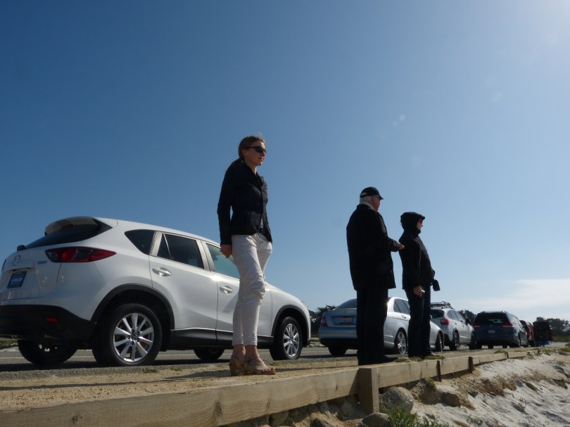 17-Mile Drive: alle paar hundert Meter ein Stopp