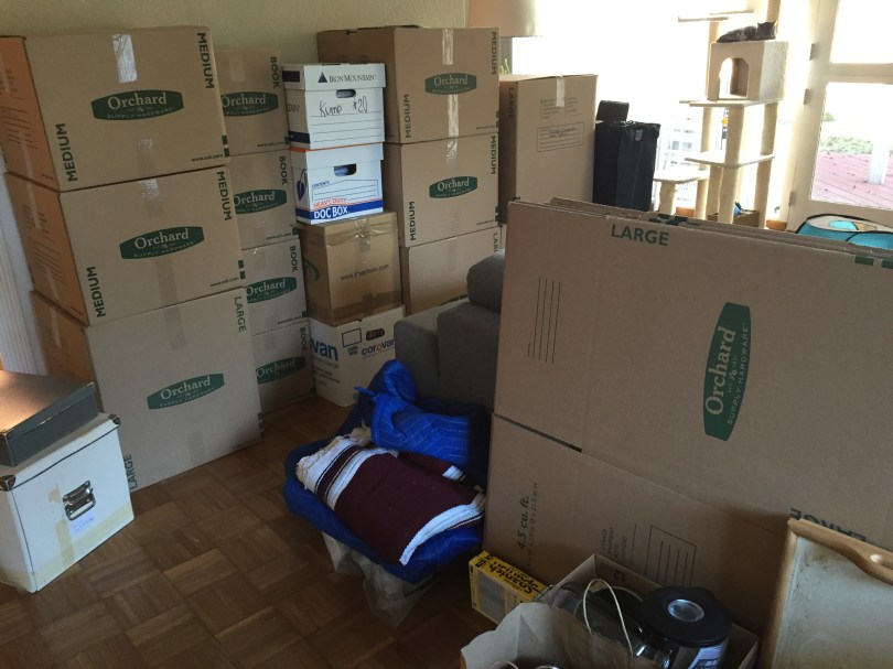 Umzugskisten so weit das Auge reicht