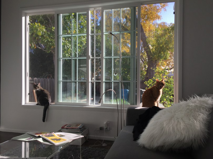 Angekommen: Maurice und Randy belauern die Nachbarn