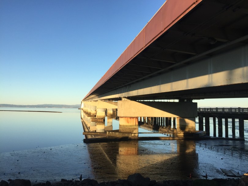 Under the (San Mateo) Bridge