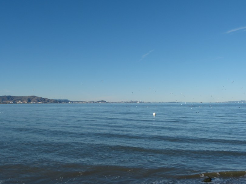 Coyote Point: Sicht auf San Francisco