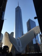 Erhabenes Ensemble: World Trade Center Transporation Hub von Santiago Calatrava und One World Trade Center von David Childs