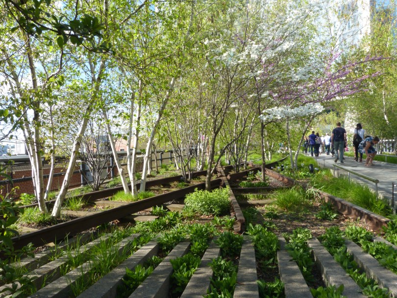 High Line: 2009 wurde die einstige Güterbahntrasse in einen Park umgewidmet