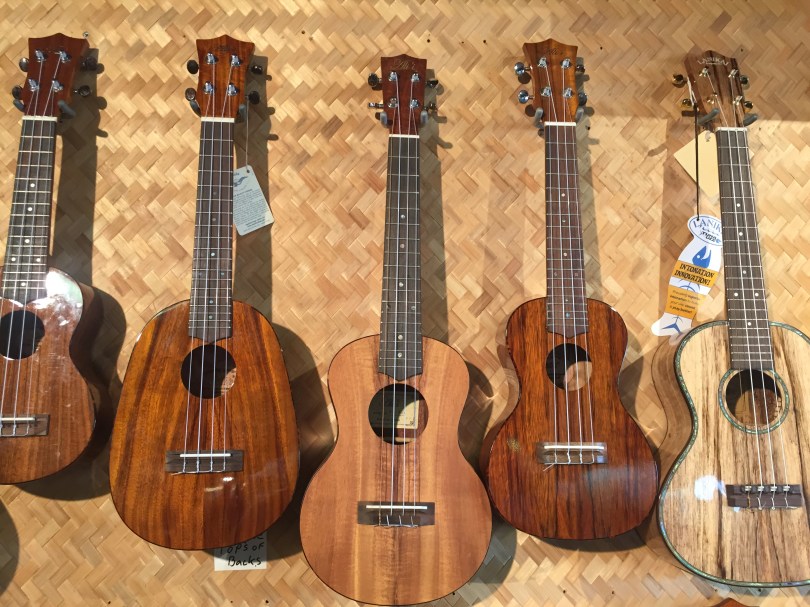 Blue Hawaii: Ukulele-Fachgeschäft
