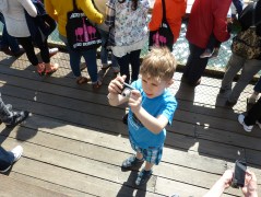 Paparazzo: Lennart knipst alles, was nicht bei drei auf den Bäumen ist