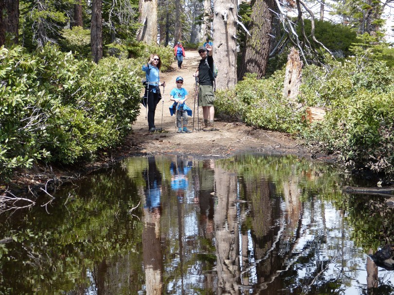 Wir gehen dann schon mal vor
