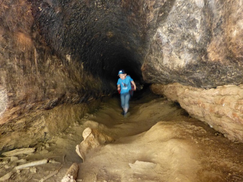 Tunnelblick: Lennart in einem ausgehöhlten Mammutbaum