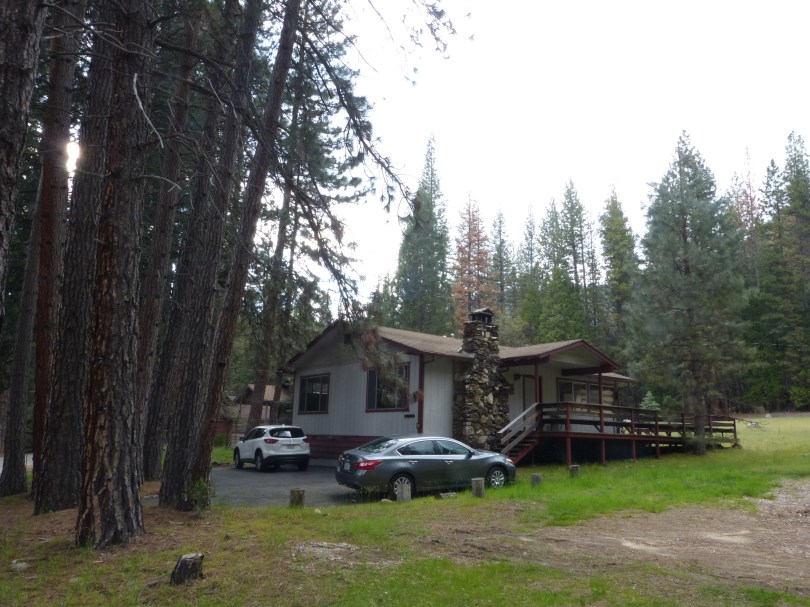 Klein aber gemütlich: unsere Blockhütte im Yosemite-Park