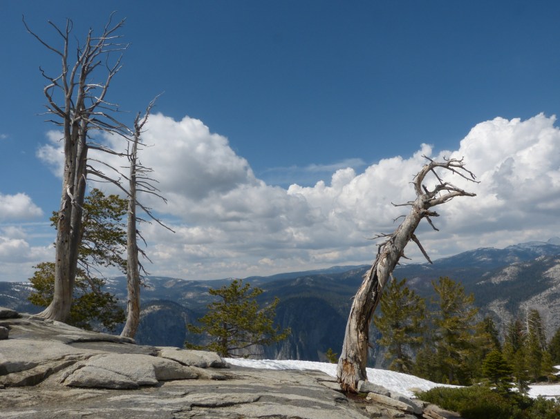 Freie Sicht nach allen Seiten: Gipfel des Sentinel Dome